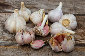 Fresh garlic on a rustic wooden table