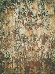 Rusty metal surface with peeling blue paint