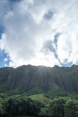 The volcanic ridges of Kualoa Ranch on the island of O'ahu are famous for the many blockbuster movies that have been filmed on the premises over the years.  - obrazy, fototapety, plakaty