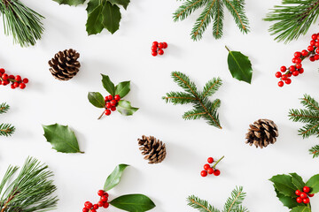 Collection of decorative Christmas plants with green leaves and holly berries. - Powered by Adobe