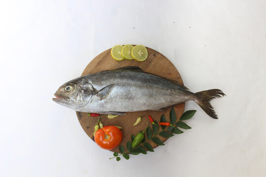 Fresh Butter Fish/Amberjack Fish/Allied Kingfish (Seriola Dumerilli) Decorated With Herbs And Vegetables, White Background.Selective Focus.