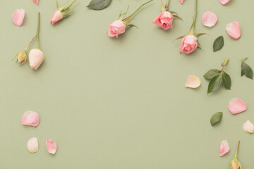 pink and white flowers on green  paper  background