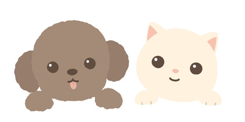 仲良しの犬と猫　顔　カメラ目線　背景白