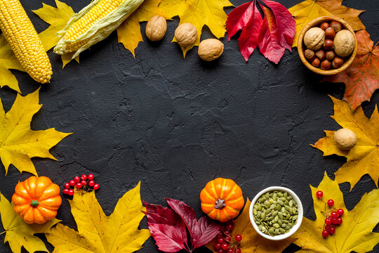 Frame of harvest or Thanksgiving background with autumnal fruits and leaves
