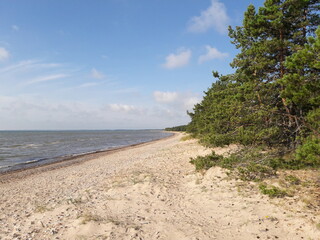 Estonia Island Saaremaa coast beach
