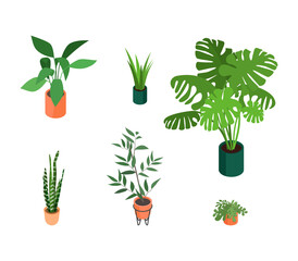 Set of isometric potted plant. Vector collection. Illustration in flat design.