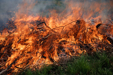 Fire - vegetation stacks being burned to reduce fuel loads.