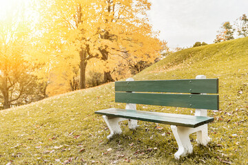 Wooden park bench in the park in fall time