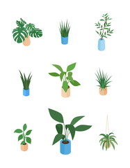 Set of isometric potted plant. Vector collection. Illustration in flat design.