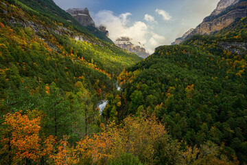 An autmn forest valley with running stream in Ordesa national park, SPain