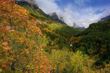 Autumn forestin a valley under cloudy blue sky in Ordesa national park, Spain