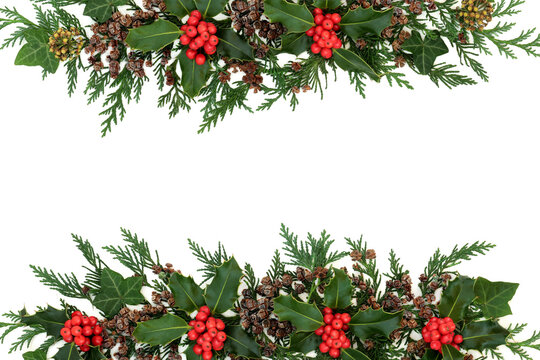 Christmas, winter & New Year natural background border with holly, ivy & cedar cypress leaves on white. Festive composition for the holiday season. Flat lay, top view, copy space.