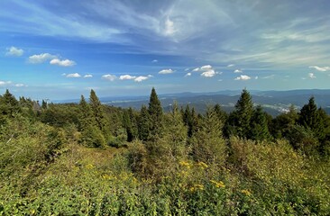 widok z Jaworzyny Krynickiej na góry Beskid Sądecki