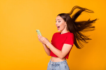 Profile photo of lady with flying hairstyle using telephone read news wear casual red top isolated...