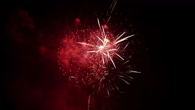 Beautiful Fireworks in The Sky With Black Background