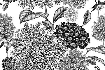 Nahtloses Blumenmuster mit Gartenblumen Hortensie. Schwarz und weiß. Vektor. © marinavorona