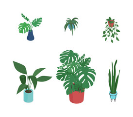 Fototapeta na wymiar Set of isometric potted plant. Vector collection. Illustration in flat design.