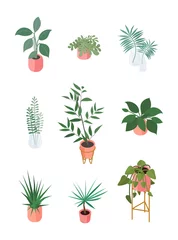 Afwasbaar Fotobehang Tropische bladeren Set of isometric potted plant. Vector collection. Illustration in flat design.