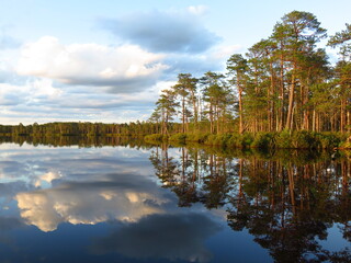 lake in the woods