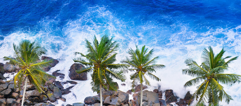 palm trees and a rocky shore. Sea waves are breaking on the rocks on the beach. Sri Lanka. Wide photo