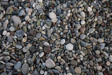 Multi-colored sea stones of different shapes