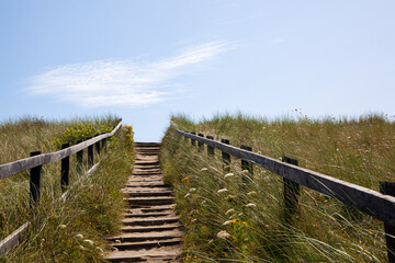 Fototapeta premium Stairs to the beach