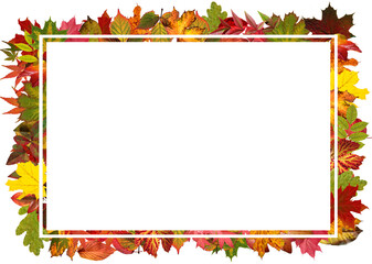 Autumn photo frames Made of autumn leaves