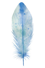 Watercolor boho illustration, Blue feather on white isolated background, print