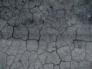 Tire track on the dry Gray ground covered with crackles . Rusted Background. 