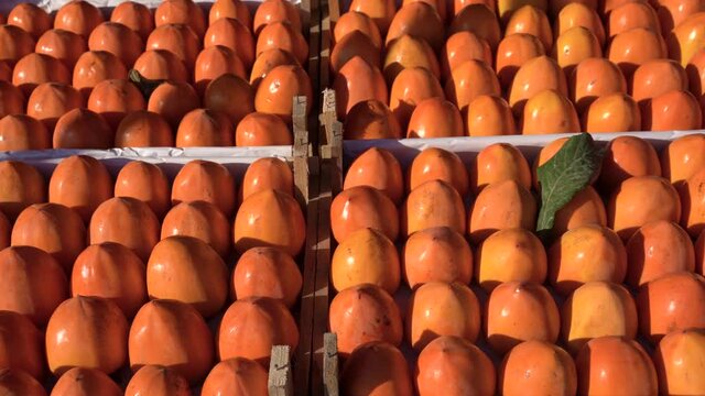 Persimmon fruit harvest in supermarket stall