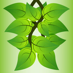 Green leaves background with place for text