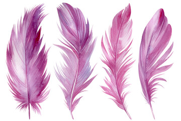 Fototapeta premium set of pink feathers on white isolated background, watercolor illustration, scrapbooking clipart