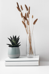 Transparent vase and houseplant on white paper, white background. Natural and eco-friendly materials in interior decor