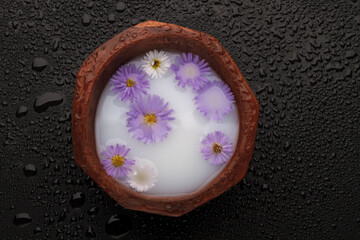 Obraz na płótnie Canvas Aster flowers in bowl with milk on wet black table. Top view