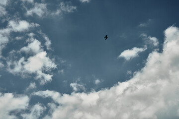 Naklejka na ściany i meble Sky in the clouds, sunny day, background