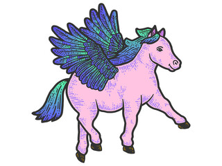 Little pegasus, pony with wings. Engraving raster illustration color.