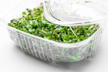 Microgreens bowl on white marble background. superfood concept