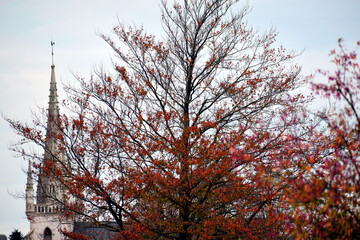 Clocher d'église et arbres rouges en automne