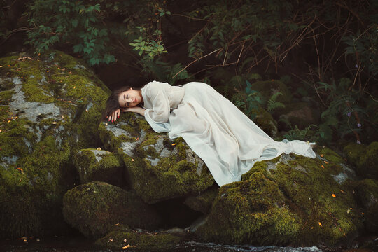 Daydreaming in a forest
