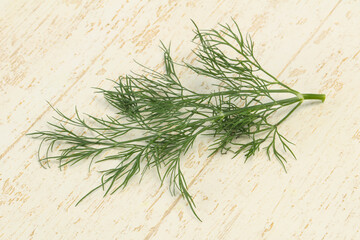 Fresh green dill herb branch