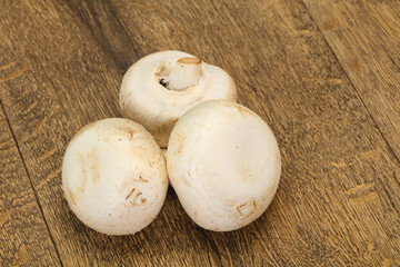 Raw Champignon heap for cooking