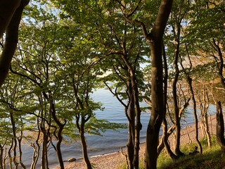 Fototapeta premium Wlad