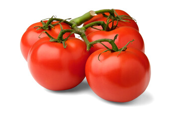 Branch with red tomatoes isolated on white background, side view.