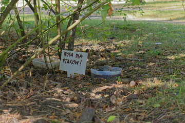 Water prepared for birds in the city park
