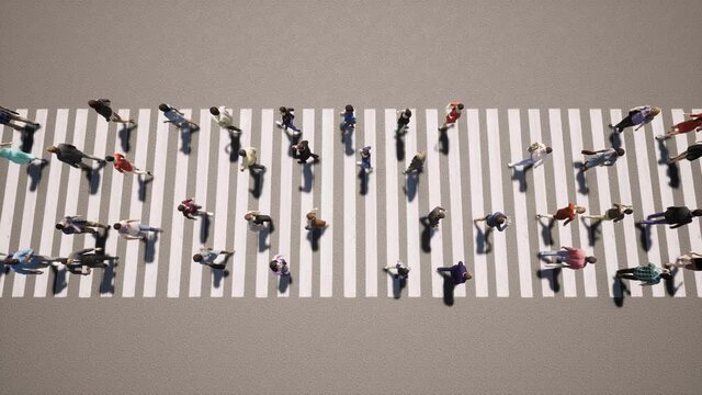 Pedestrian People transition zebra Business concept 4k