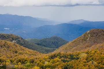 Fototapeta premium Autumn picture from Spanish mountain Montseny