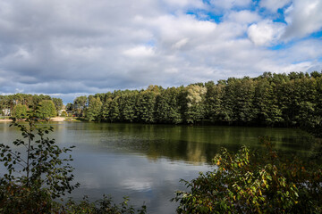 Fototapeta premium Beautiful landscape view of small pond near trees.