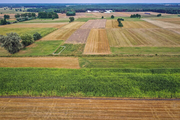 Drone aerial view of fields in small Jaczew village, Gmina Korytnica, Mazovia Province of Poland