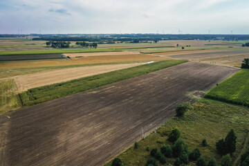 Drone photo of green maize fields around Jaczew village in Gmina Korytnica, Mazovia Province of Poland