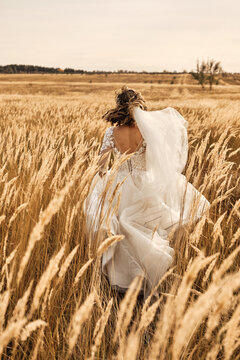 Bride runs away from a fiance crossing a golden field